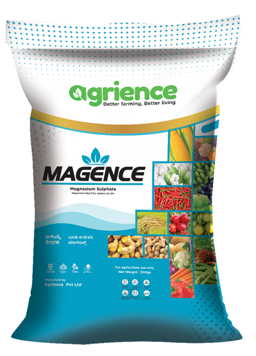 magence_agrience_magnesium-sulphate,magnesium-sulphate-action,-iffco-magnesium-sulphate,aries-magnesium-sulphate,benefits-of-magnesium-sulphate_magnesium-sulphate-kya