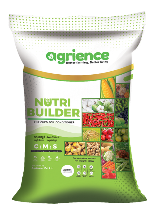 nutri-builder_agrience_cms-fertilizer-uses_cms-fertilizer-price-50-kg_-secondary-fertilizers_cms-fertilizer-for-paddy_Buy-Katyayani-CMS_Calcium_Magnesium_Sulphate
