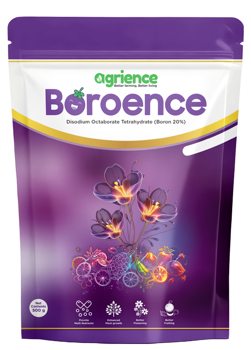 Boroence_NanoBoran_NanoDAP_NanoPotash_Nano-Urea_Agrience-Aries_Hafia_Nutrien_Formula4_Nutrients_Best-formula-4