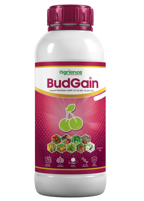 BudGain_Gromor-2828_Yara-ICL_Dehaat_fantac-plus_Agrience-Aries_Hafia_Nutrien_polysulpahte