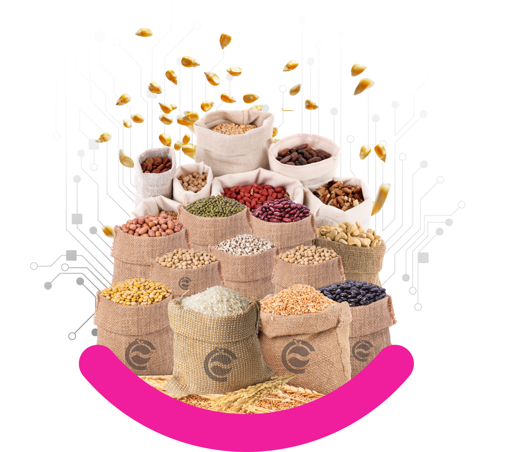 Fruits_Vegetables_Grains_Pulses_MarketLinkage_Output Procurement_Institutional buyer_CropsAngadi_AgTech_Indis Best AgTech_Drone (2)